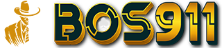 BOS911
